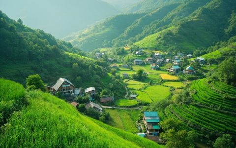 生态旅游与自然教育：共绘绿色未来
