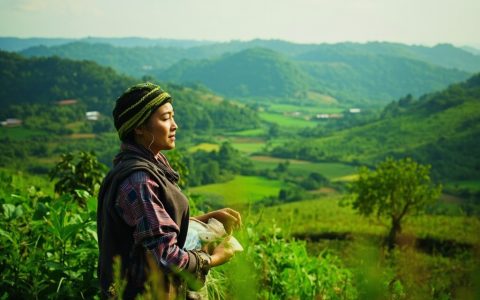 研学旅行与亲子文旅：共创未来