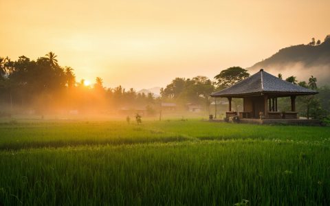 逃离都市，追寻田野间的宁静